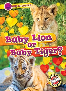 Front cover_Baby Lion or Baby Tiger?