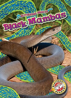 Front cover_Black Mambas