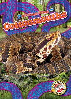 Couverture_Cottonmouths