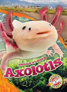 Couverture_Axolotls