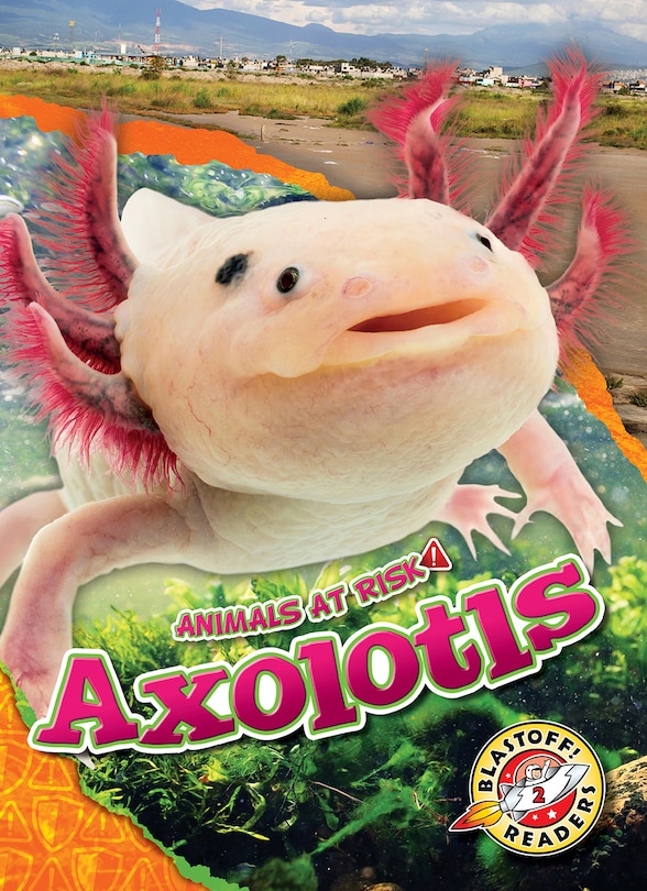 Couverture_Axolotls