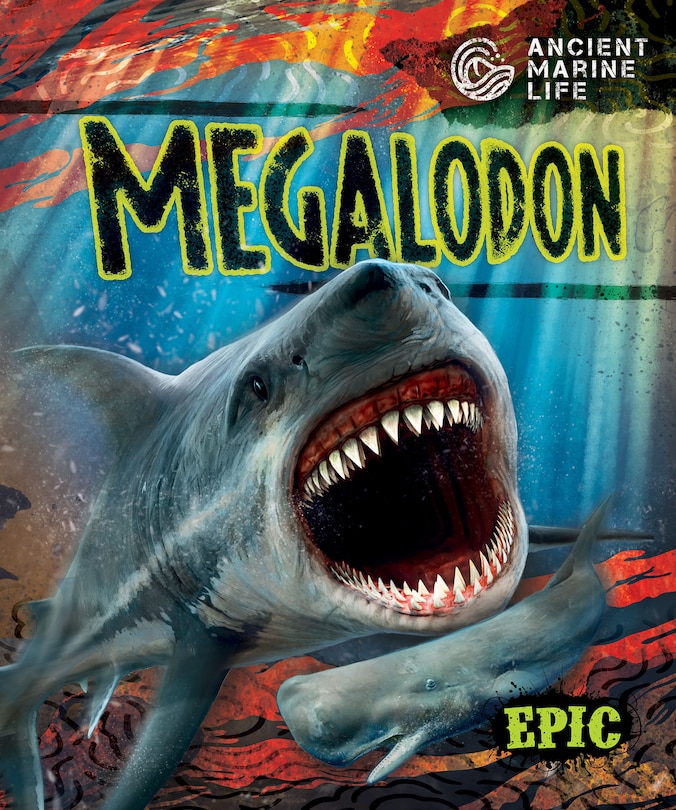 Front cover_Megalodon