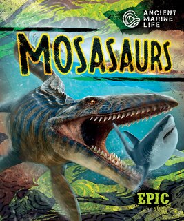 Couverture_Mosasaurs