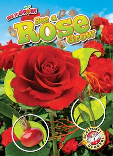 Couverture_See a Rose Grow