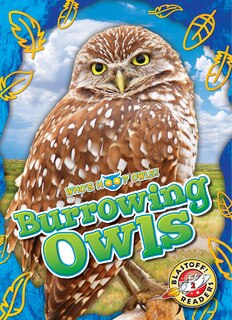 Front cover_Burrowing Owls
