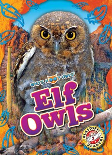 Front cover_Elf Owls
