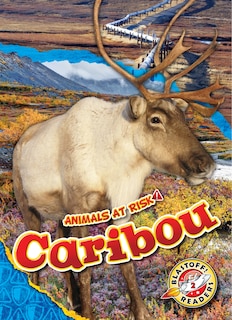 Couverture_Caribou