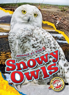 Front cover_Snowy Owls
