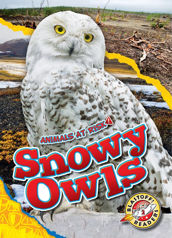 Front cover_Snowy Owls
