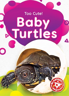 Front cover_Baby Turtles