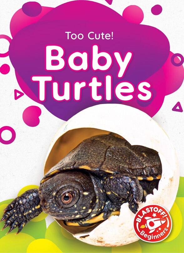 Front cover_Baby Turtles