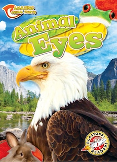 Couverture_Animal Eyes