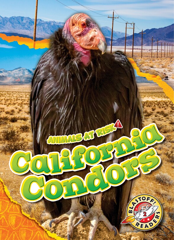 Front cover_California Condors