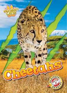 Couverture_Cheetahs