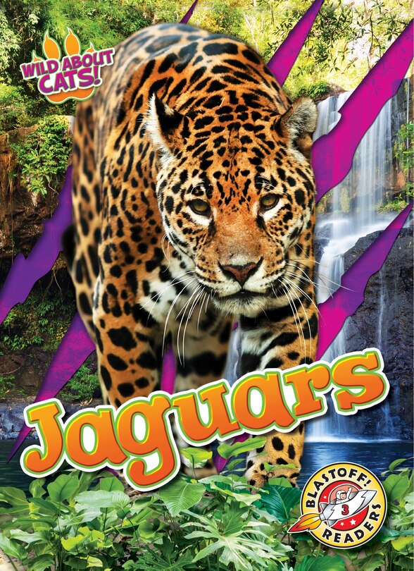 Couverture_Jaguars