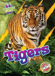 Couverture_Tigers