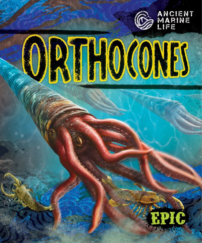 Couverture_Orthocones