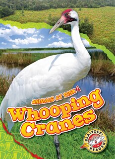 Front cover_Whooping Cranes