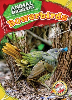 Couverture_Bowerbirds