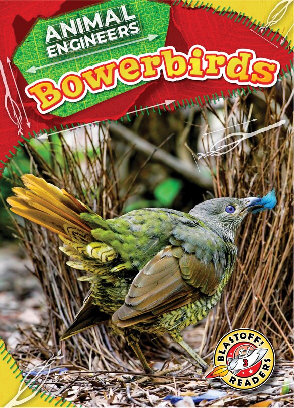 Couverture_Bowerbirds