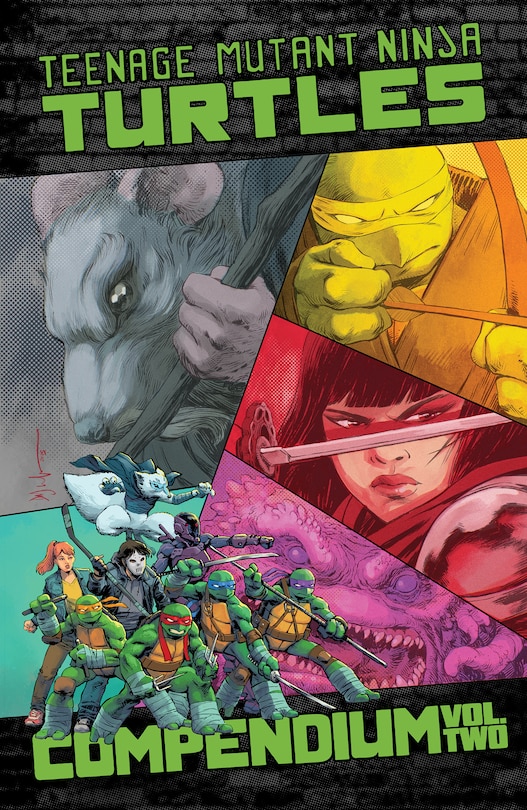 Couverture_Teenage Mutant Ninja Turtles: Ongoing Compendium, Vol. 2