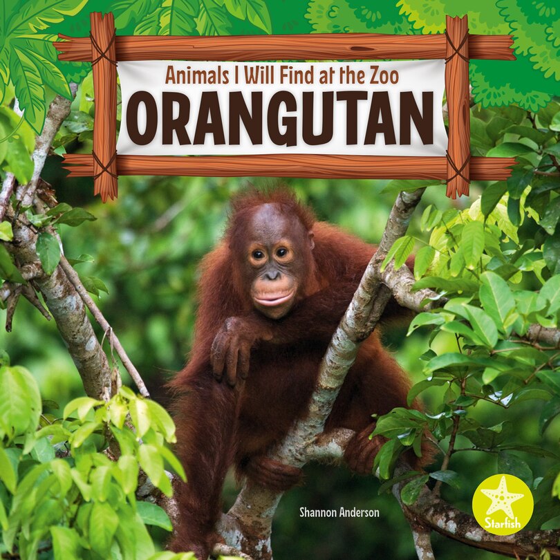 Couverture_Orangutan