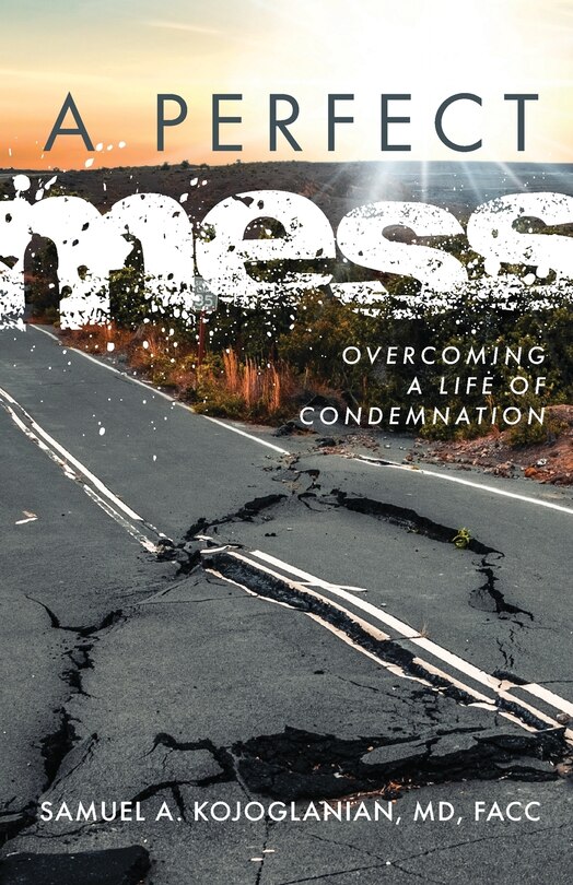 Couverture_A Perfect Mess