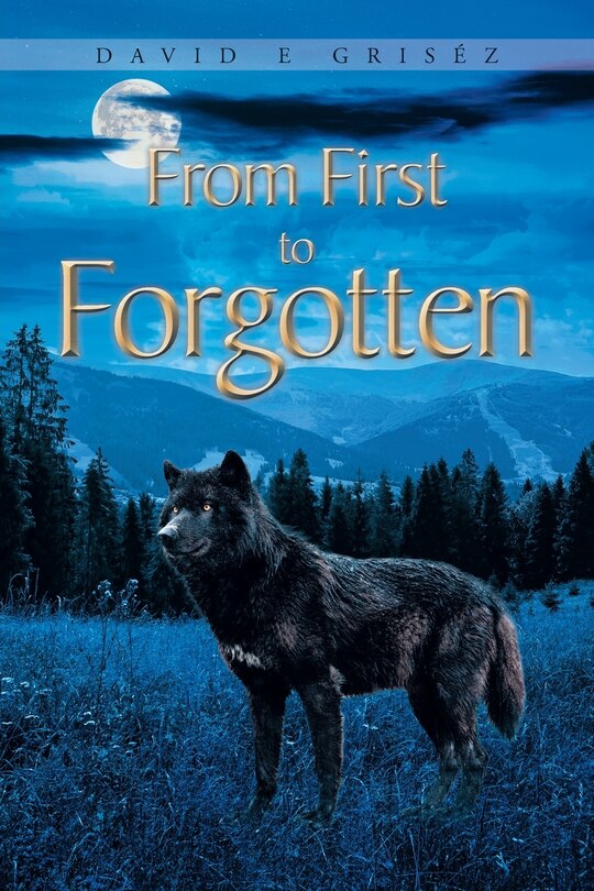 Couverture_From First to Forgotten
