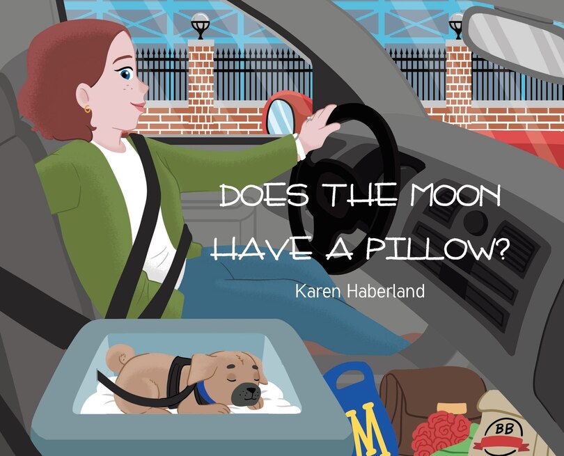 Couverture_Does the Moon Have a Pillow?