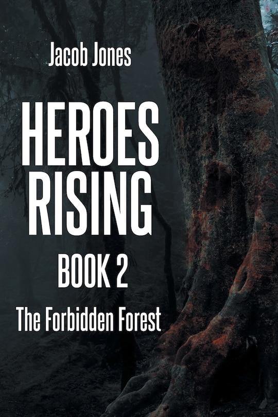 Couverture_Heroes Rising Book 2
