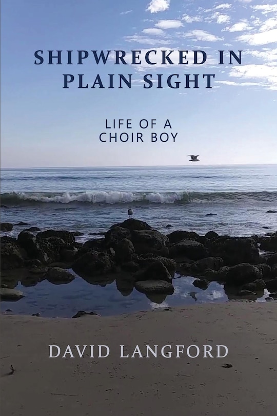 Couverture_Shipwrecked in Plain Sight
