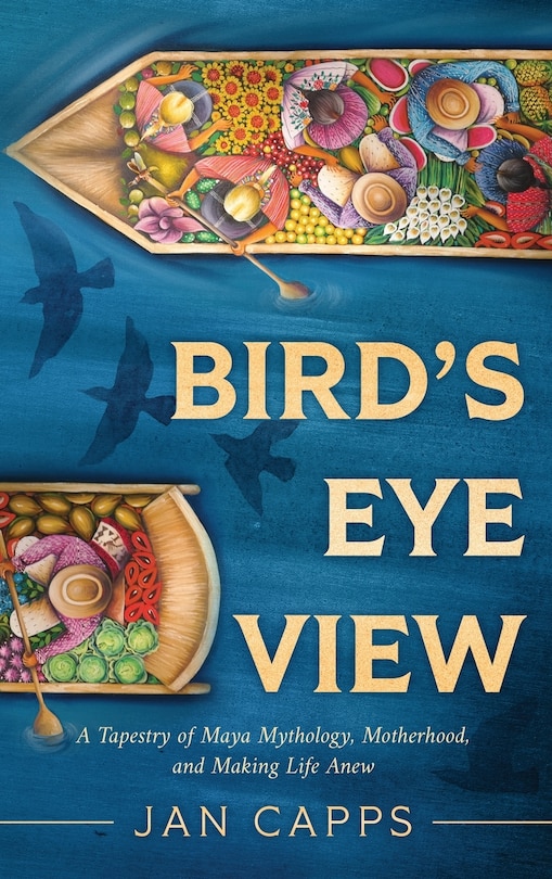 Couverture_Bird's Eye View