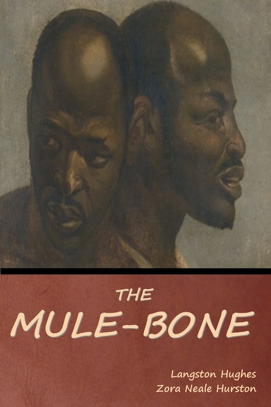 Front cover_The Mule-Bone