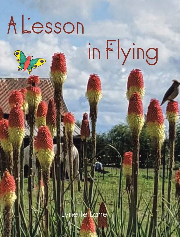 Front cover_A Lesson in Flying