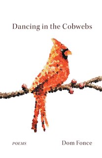 Front cover_Dancing in the Cobwebs