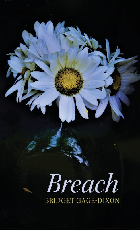 Couverture_Breach