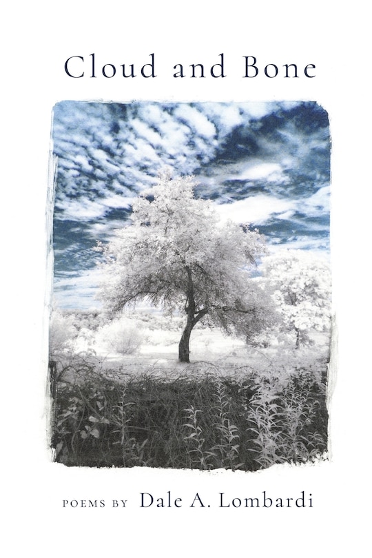 Front cover_Cloud and Bone