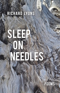 Front cover_Sleep on Needles