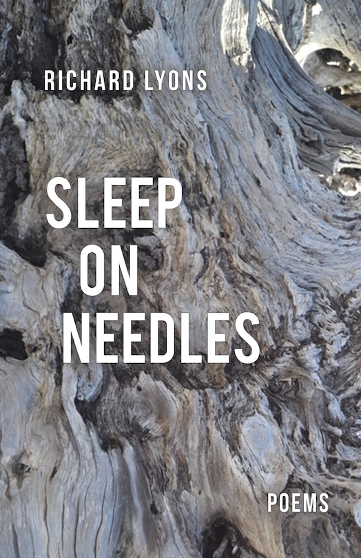 Front cover_Sleep on Needles
