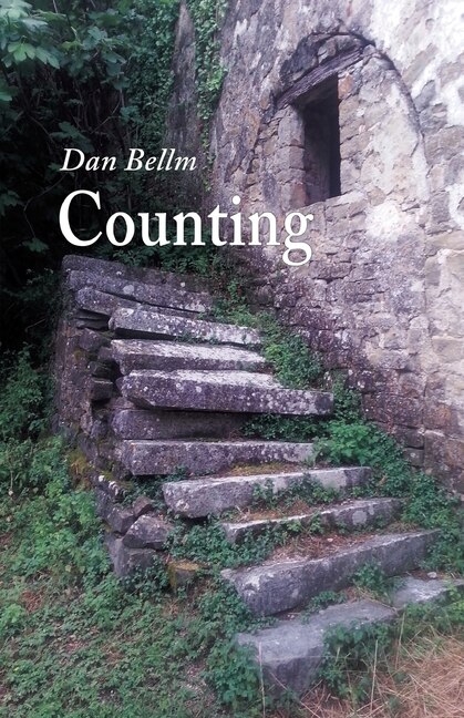 Couverture_Counting