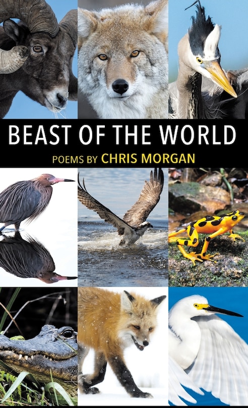 Front cover_Beast of the World