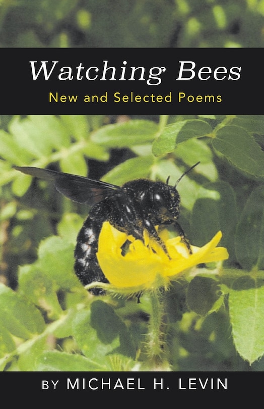 Front cover_Watching Bees