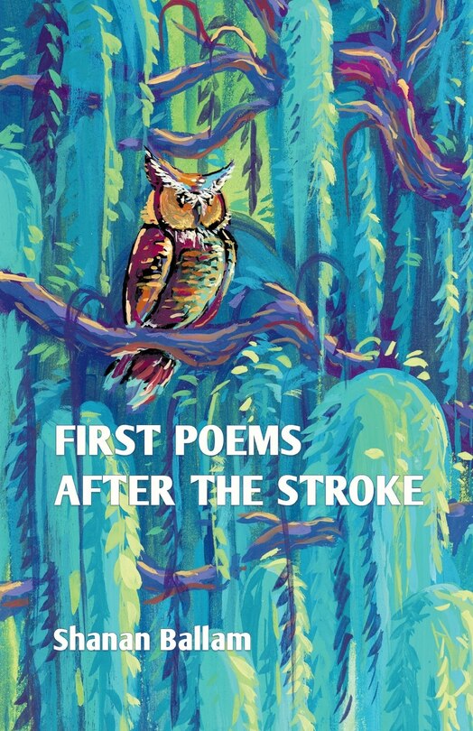 Front cover_first poems after the stroke