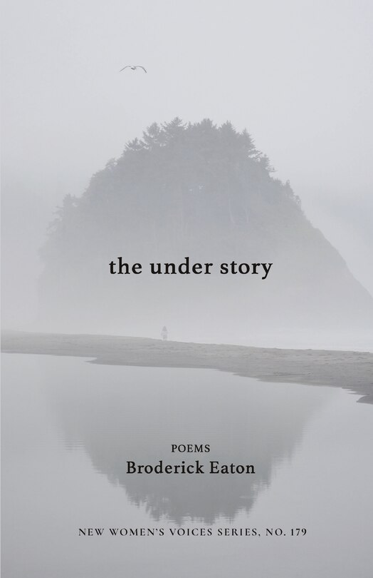 Couverture_The under story