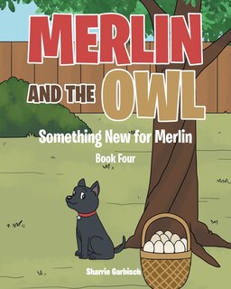 Couverture_Merlin and the Owl; Something New for Merlin; Book Four