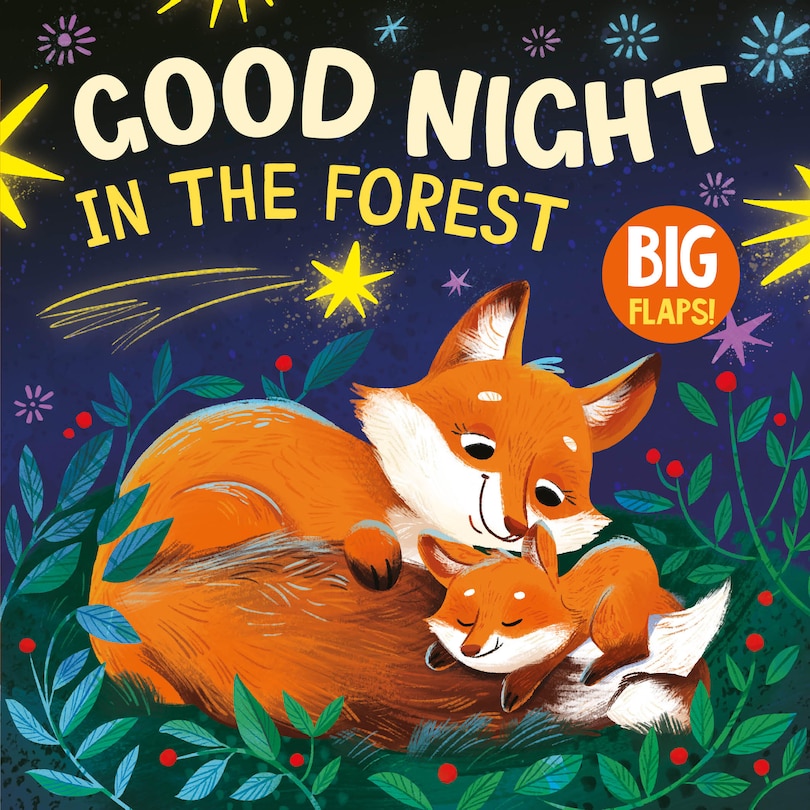 Couverture_Good Night in the Forest