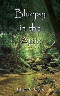 Couverture_Bluejay in the Attic