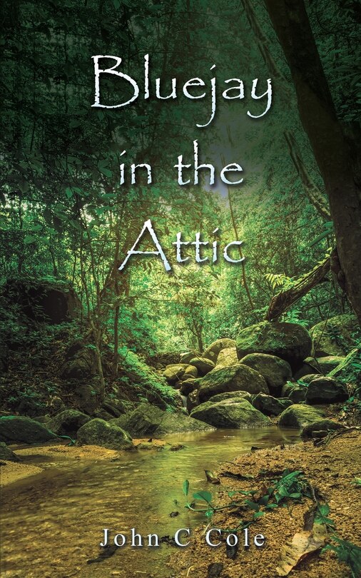 Couverture_Bluejay in the Attic