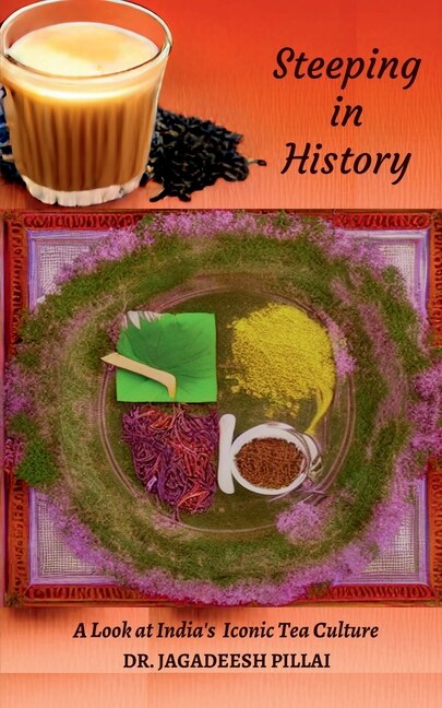 Couverture_Steeping in History
