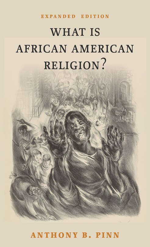 Couverture_What Is African American Religion?